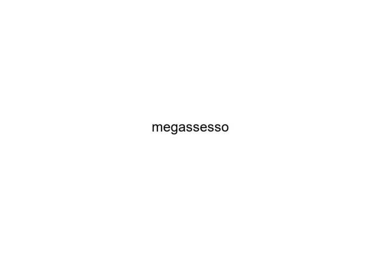 megassesso