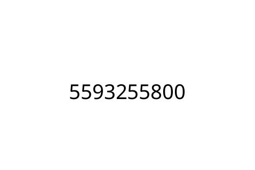 5593255800