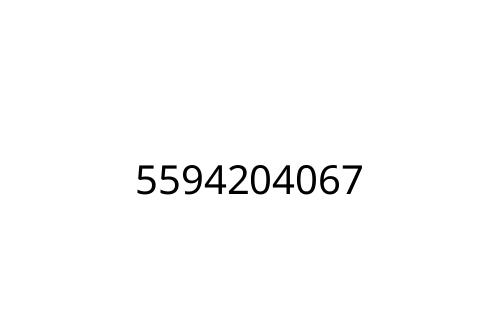 5594204067