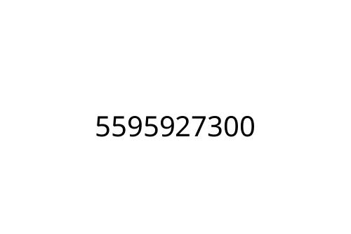 5595927300