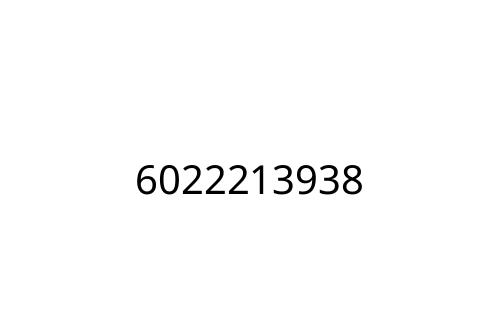 6022213938