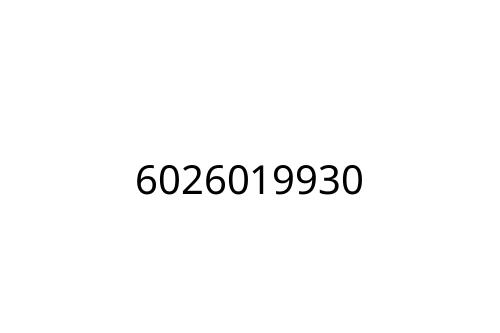 6026019930