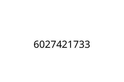6027421733