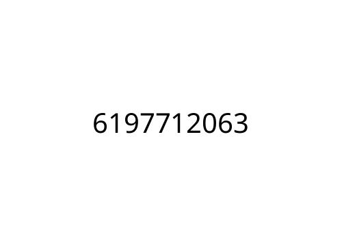 6197712063