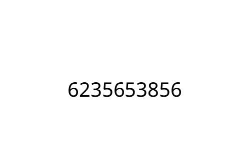 6235653856