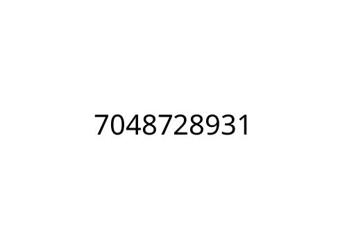7048728931