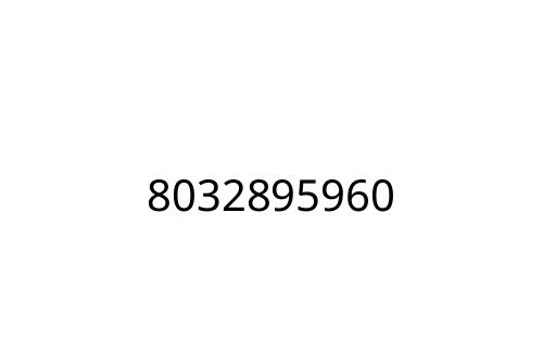 8032895960