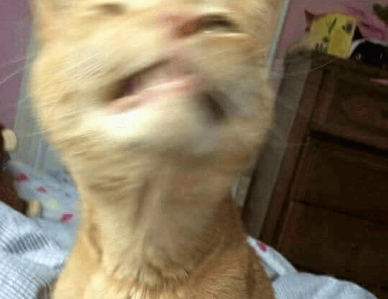 how much is the game marshock200 on pc