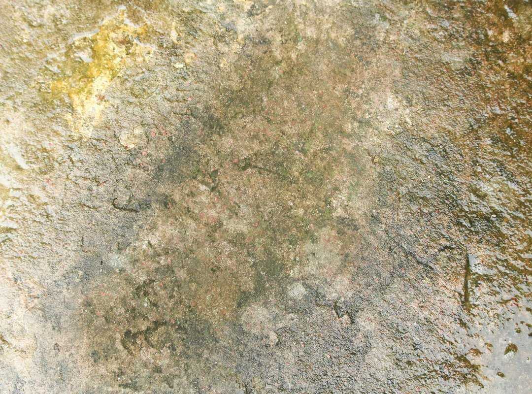 Roarcultable Latest Crypto Trends From Riproar