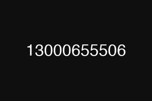 13000655506