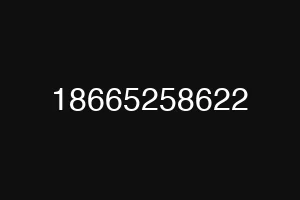 18665258622