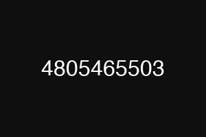 4805465503