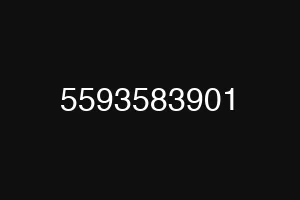 5593583901