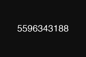 5596343188