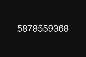 5878559368