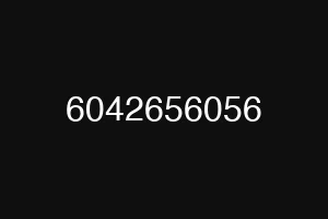 6042656056