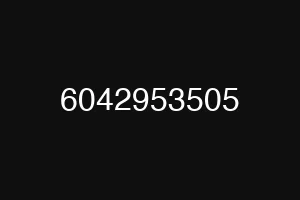 6042953505