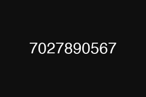 7027890567