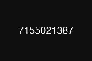 7155021387