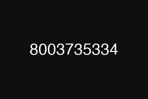 8003735334