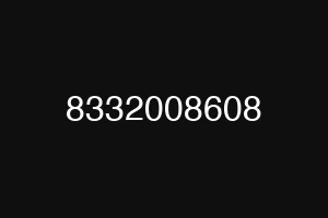 8332008608