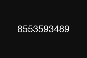 8553593489