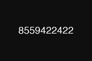 8559422422