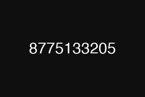 8775133205