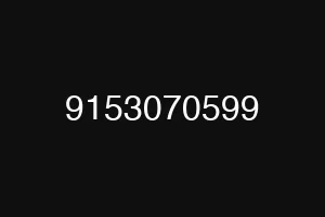9153070599