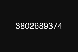 3802689374