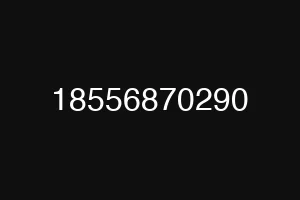 18556870290
