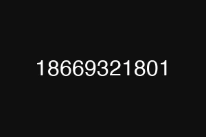 18669321801