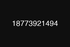 18773921494