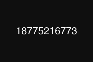 18775216773