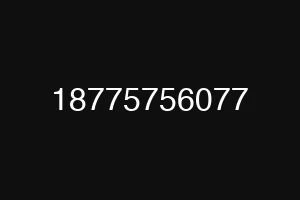 18775756077