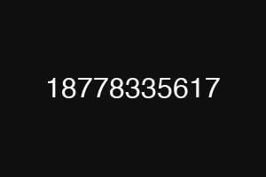 18778335617