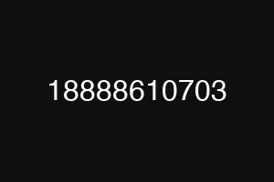 18888610703