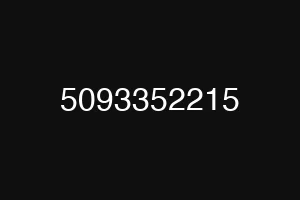 5093352215