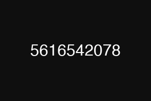 5616542078