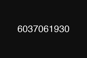 6037061930