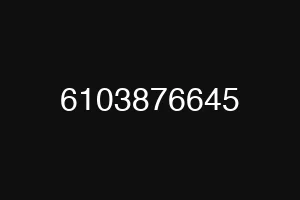 6103876645