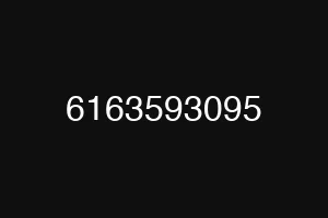 6163593095