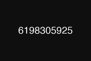 6198305925