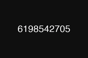 6198542705
