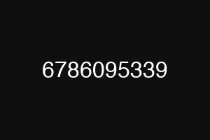 6786095339