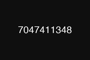 7047411348