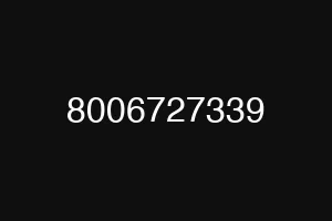 8006727339