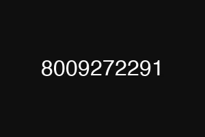 8009272291