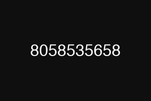 8058535658