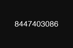 8447403086